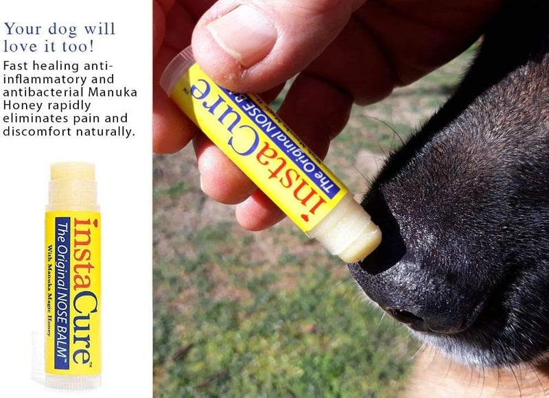 INSTACURE Original Nose Balm. Fast Relief for Cracked Dry & Sore Noses with Raw Manuka Honey Vitamin E Shea Butter Aloe Vera Oil. Heals Dogâ€™s Dry Cracked Nose (1 Pack) - Image 5